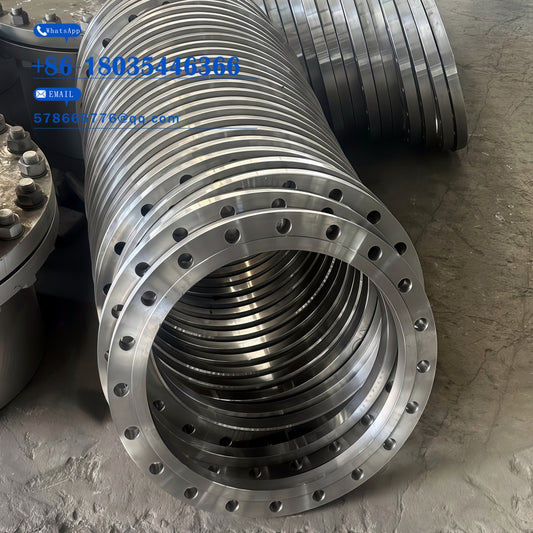 DN250 Class 300 WN Flange