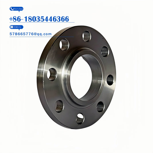 Petrochemical Flange – SH / HG Standard