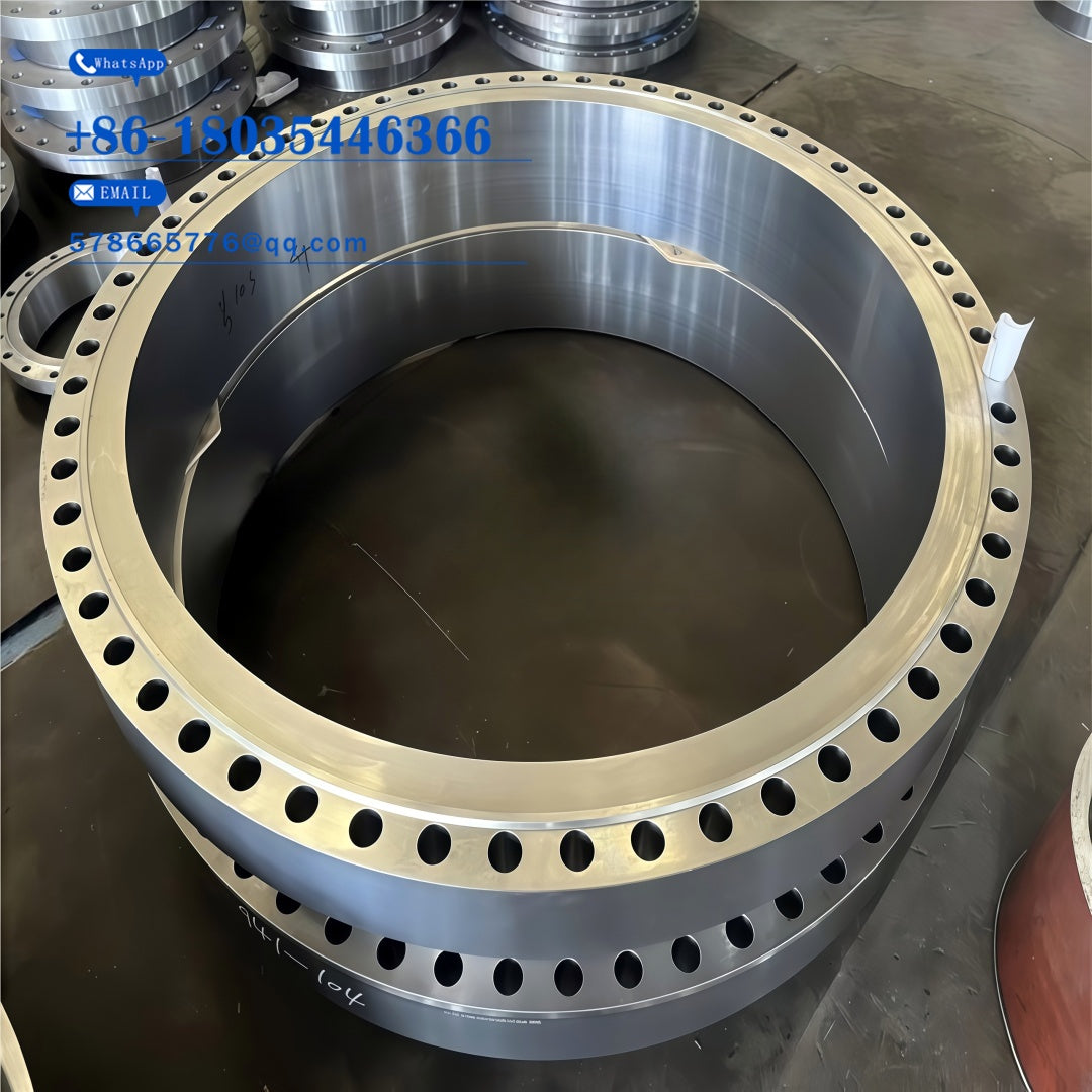 JIS SUS317 Flange – High Moly Stainless