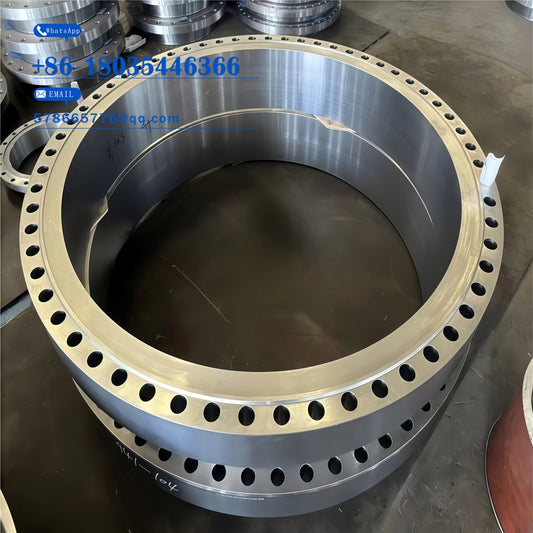 JIS SUS317 Flange – High Moly Stainless