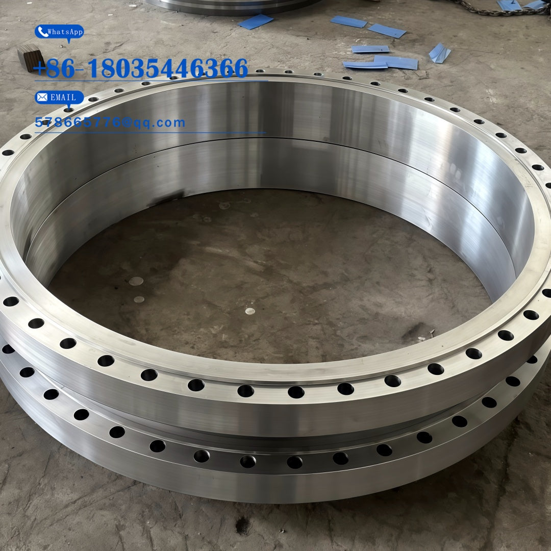 ASTM A182 F317 Flange – High Moly Stainless