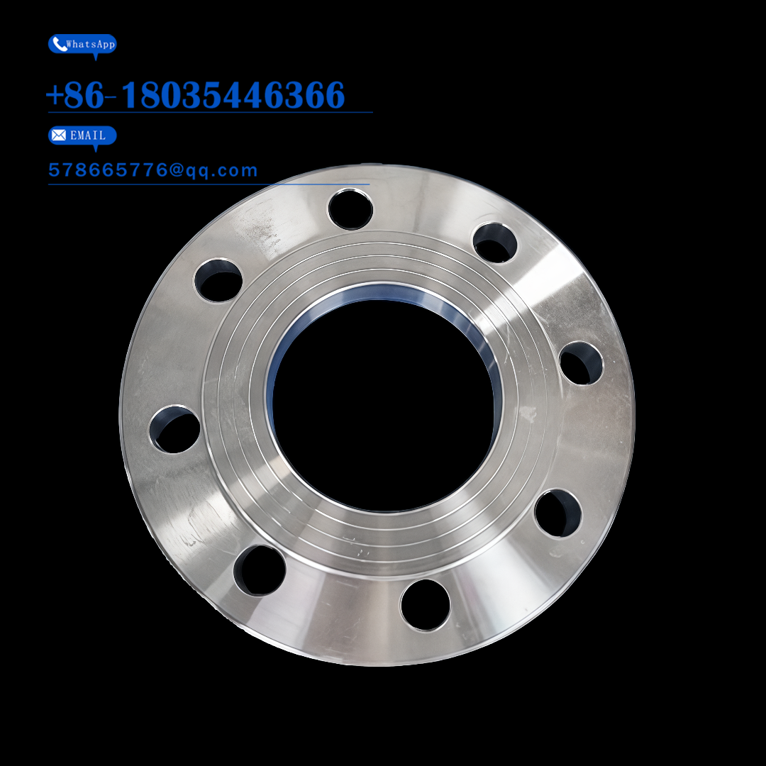 316L SS ANSI Flange – RF Type