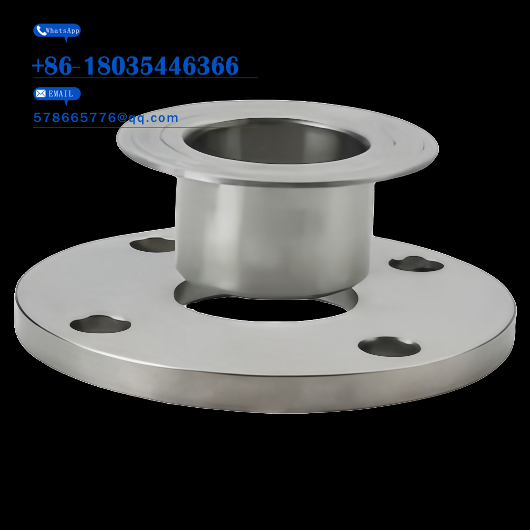 A105 CS / SS Pipe Fitting Flange